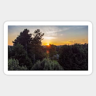 Golden Sunset from the Trees Sticker